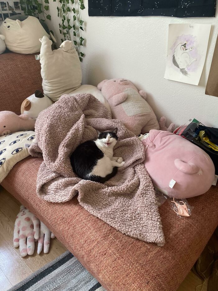 41. "Leave me alone, I'm sleeping!"