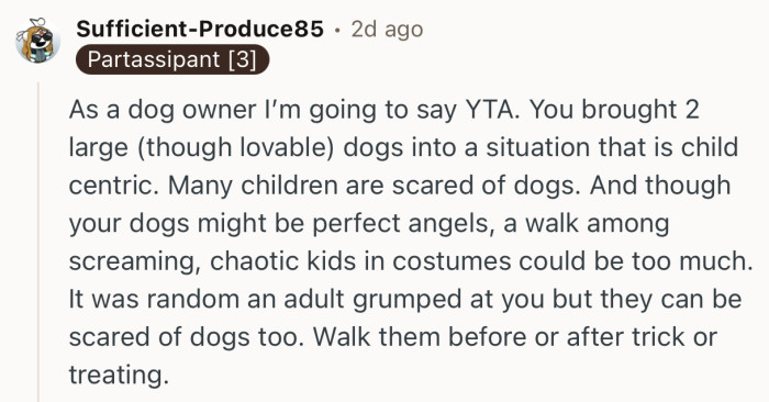 “As a dog owner I’m going to say YTA. You brought 2 large (though lovable) dogs into a situation that is child centric.”