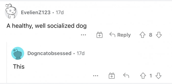 Having a well-socialized, healthy, and overall good-standing dog is the best dog.