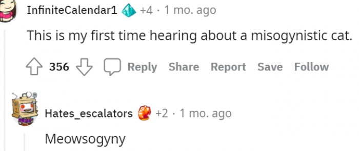 7. More like a meowsogynic cat...