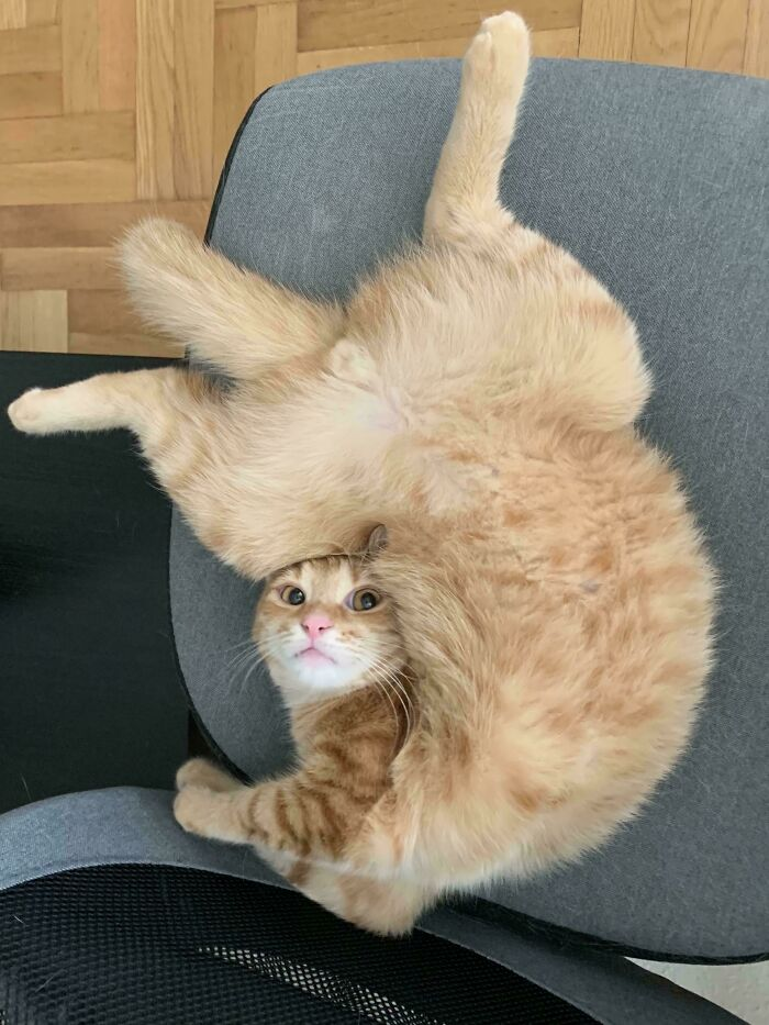 29. This yoga pose is called “The Cinnamon Twist.”