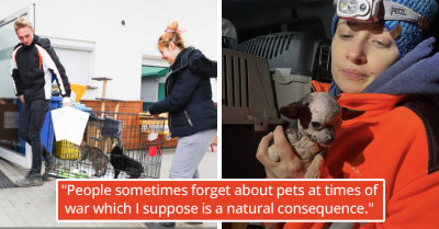 Polish Charity Workers Are Risking Their Lives to Rescue Animals Across the Ukraine Border