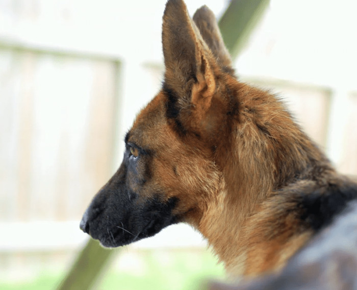 There's absolutely nothing a little bit (or a lot) of love can't fix