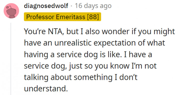 5. This person thinks OP might have unrealistic expectations about the service dog