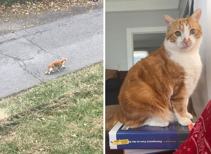 He found a home and a parent in one day.