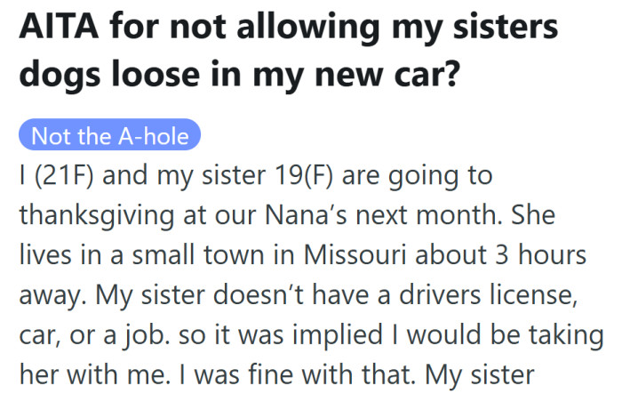 She was happy to give her sister a ride to their grandmother’s house—until pets entered the picture.