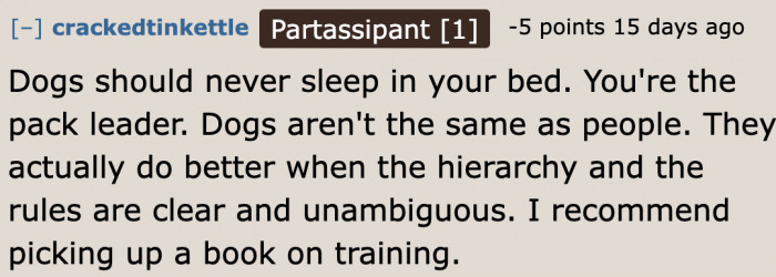 A Redditor believes that dogs should never be allowed to sleep on a human's bed.