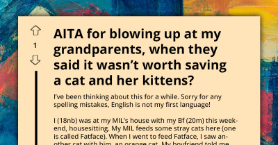 Teen Dragged Online For Blowing Up At Grandparents For Their Statement Against Saving Cat And Her Kittens
