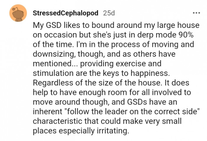 The process of moving and downsizing