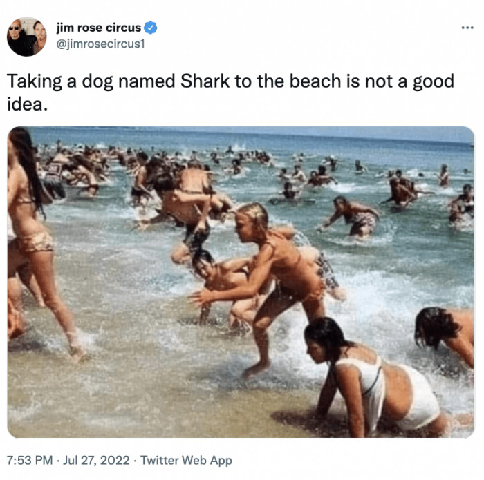 2. This person deserves the title of "The Dog Owner Who Cried Shark."