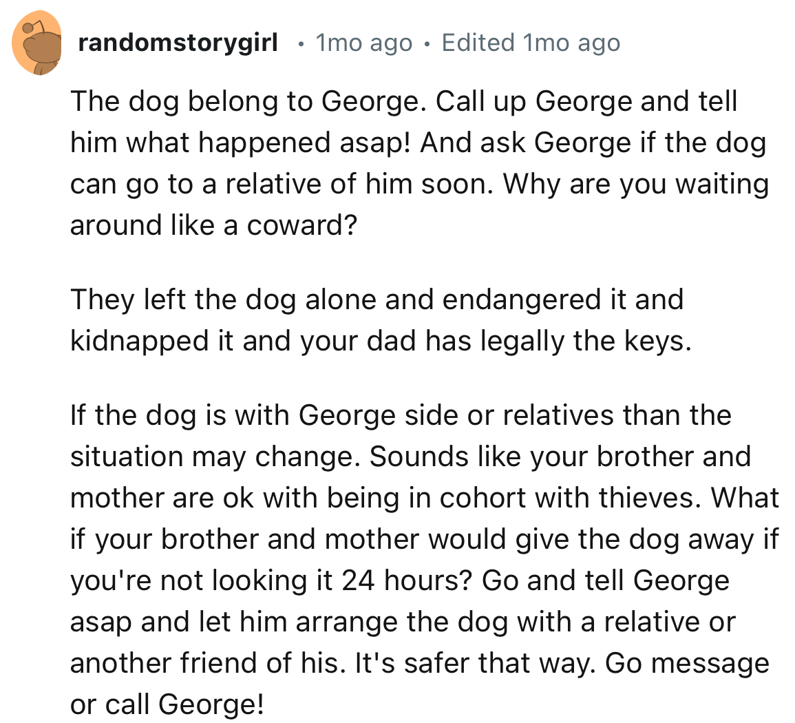 “The dog belong to George. Call up George and tell him what happened asap!”