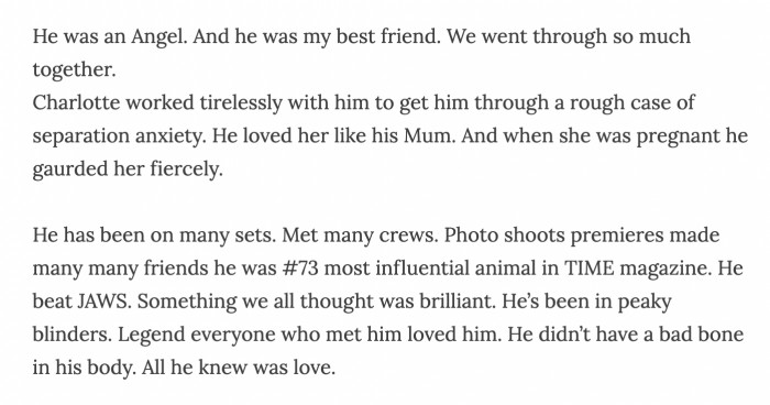 His loving dog lived a full life with their family and he was adored by everyone he met