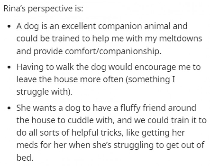 OP also shared their partner's perspective on this situation