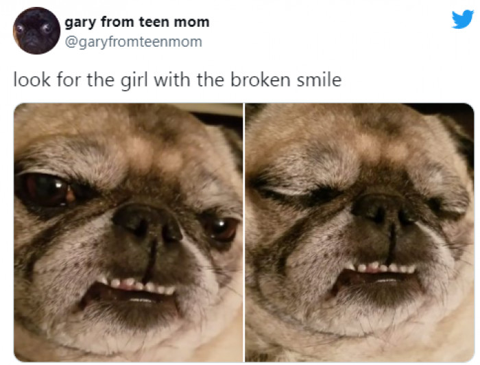 1. This Heartfelt Puppy