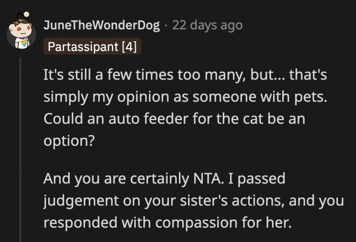 An automatic feeder will definitely help them. Plus, OP's sister is wrong; she is not an a**hole — she is just looking out for her and the cat.