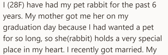 Right away, it’s clear the rabbit is not an afterthought. It is part of her life story, not a recent addition.