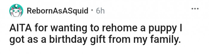 The OP Wants to Re-Home the Puppy