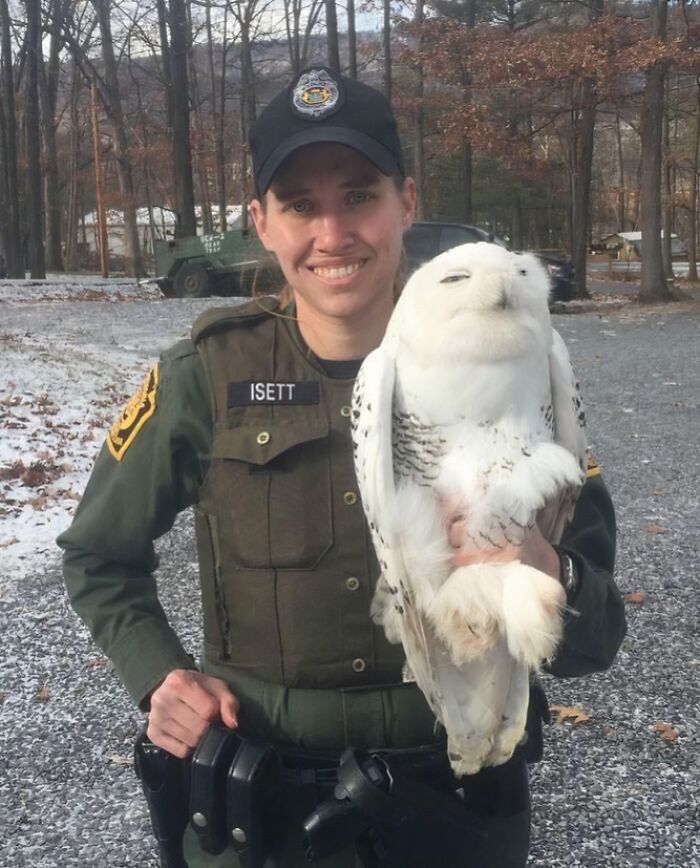 "Our Officers Even Rescue Wildlife During The Holidays"
