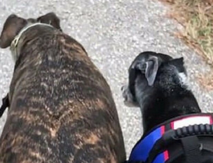 The Journey to a New Life