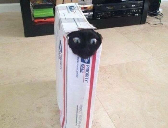 6. When You Have Made An Awful Decision And Now You Have To Regret It Instantly