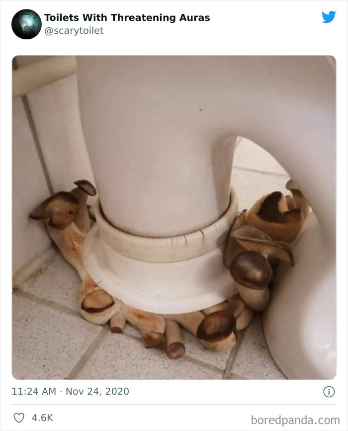 17. This toilet comes with so many fun guys