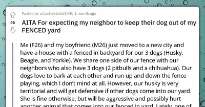 Redditor is Frustrated At Her Neighbor For Allowing His Dog To Jump The Fence Into Their Yard Without Regard For The Consequences
