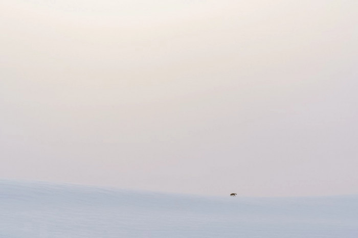 “Early spring is in the air”