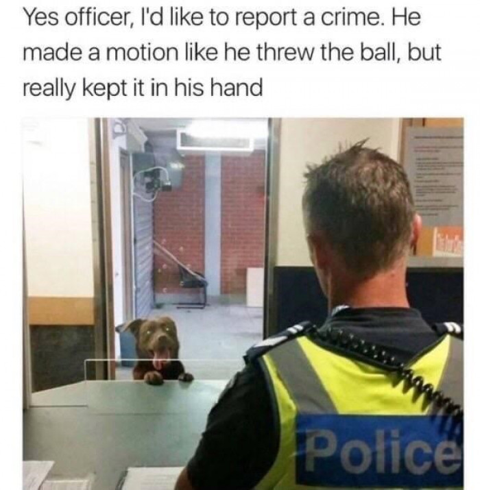 11. This is a very serious crime, and we're going to do a thorough investigation