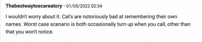 One Sympathizer Said It Doesn't Matter Because the Cat Probably Wouldn't Even Recognize It as Its Name