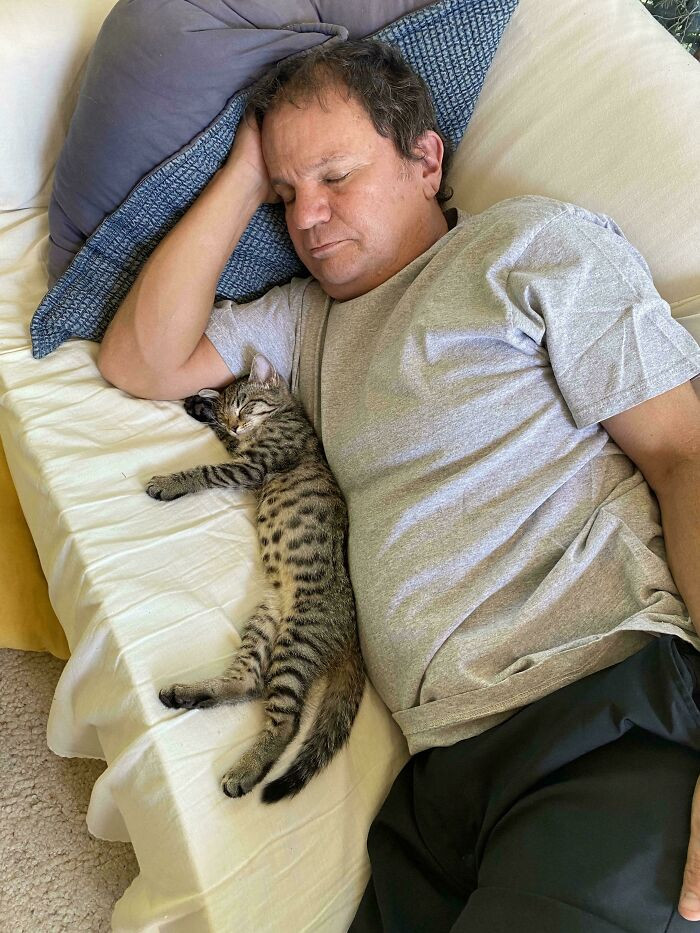 "Dad And The Cat He “Wasn’t Ready For”