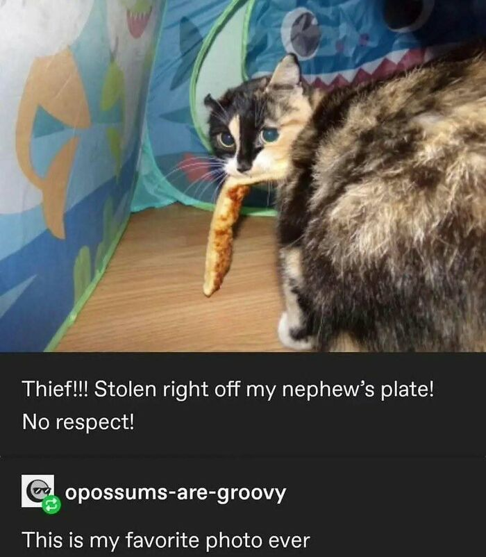 29. “The face of someone who knows crime pays—in pizza.”