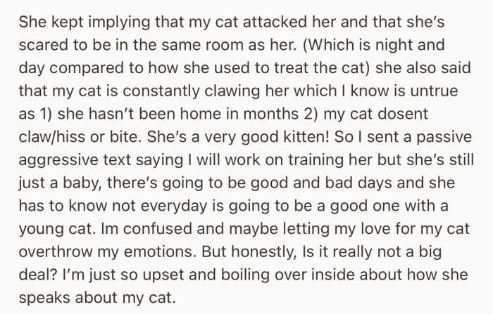 OP’s roommate further accused the cat of being agressive and attacking her multiple times