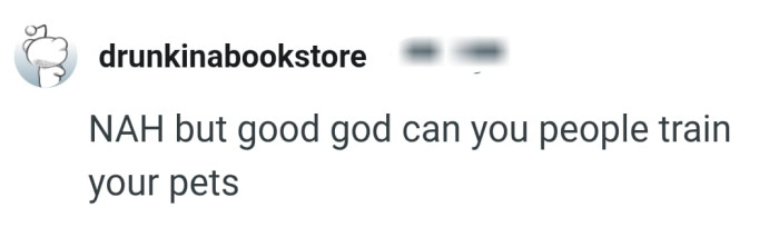 They should both train their pets