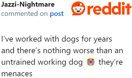 Failing to correct a working dog's behavior is a recipe for disaster.