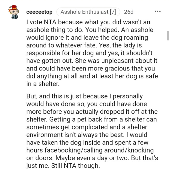 The lady is responsible for her dog, as it shouldn't have gotten out in the first place