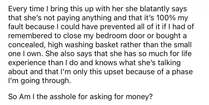 OP's sister refused to take responsibility for the damages her dog caused.