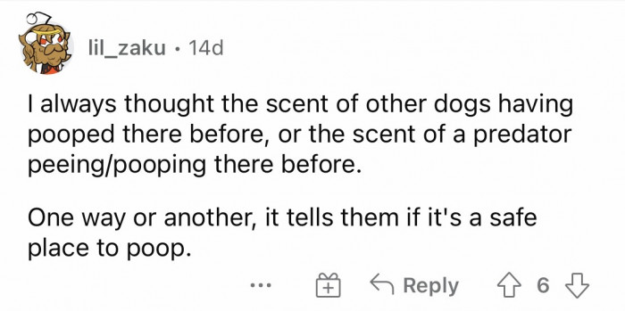 #18 Detecting the scent of other dogs or the smell of predators.