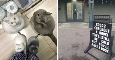 People With A Unique View Of The World And Are Killing It With Their Hilarious Shenanigans