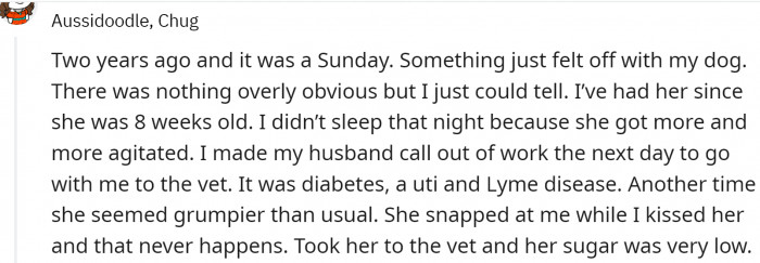 Knowing your pet is the best preventive measure: