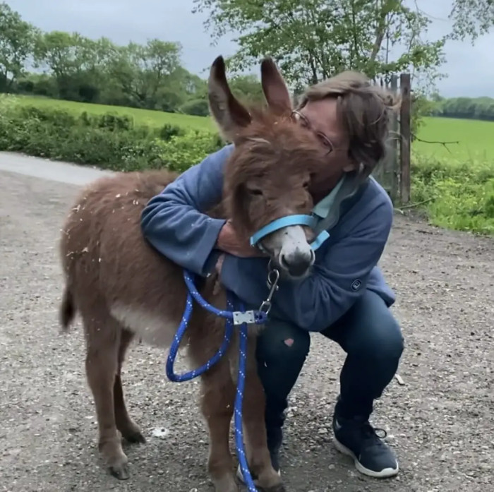 After an extensive search that spanned several weeks, the farm received remarkable news: Moon had been located safe and unharmed!