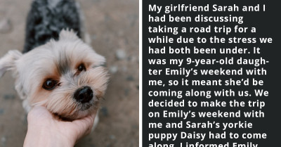 Man's Daughter Accidentally Lets Dog Out Of The Car And It Runs Away, But How He Reacts Is The Problem