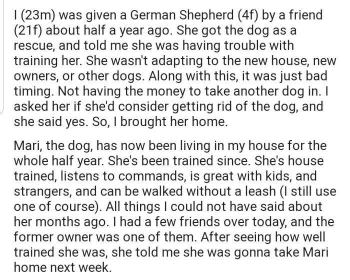 OP's friend gave him her rescue dog after struggling to cater to the canine. 6 months later, she wants her puppy back