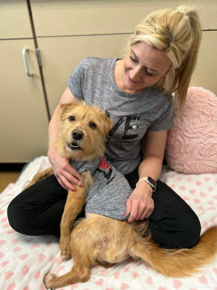 Dr. Bewley will adopt Travolta!