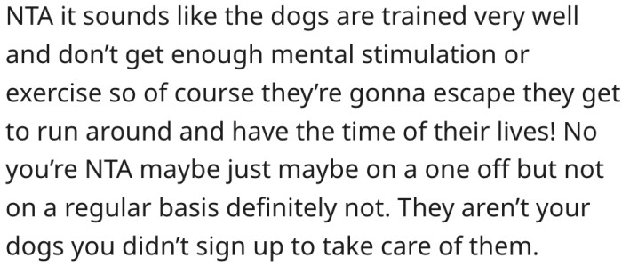 11. The dogs lack adequate exercise and mental stimulation.