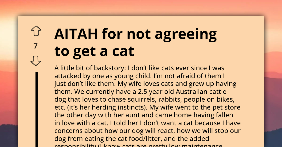 Redditor Firmly Opposes Wife’s Decision To Adopt A Cat Due To Their Childhood Trauma