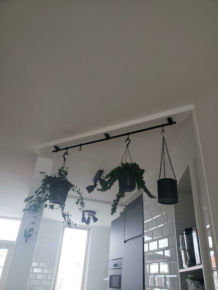 30. Ceiling is decorated with plants using Fintorp to hang them