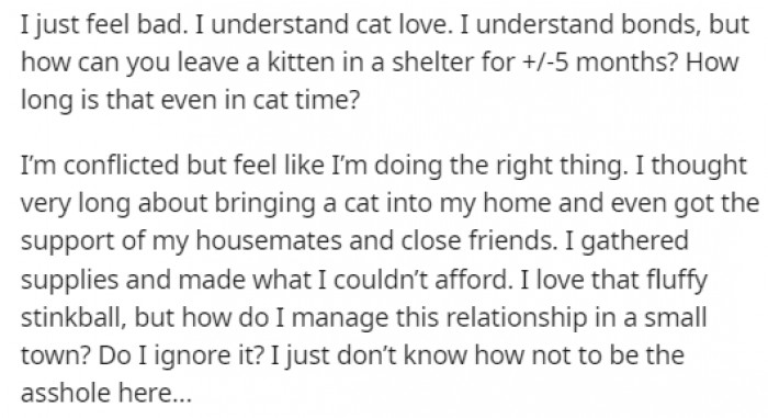 OP believes she is doing the right thing but is still conflicted because managing the relationship with the original owner is going to be hard in a small town.