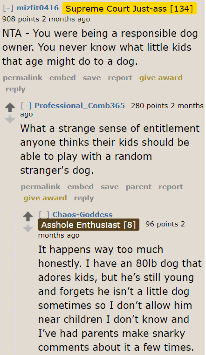 The OP received praise from the community for being a responsible dog owner. Then they criticized the dad for his strange sense of entitlement.