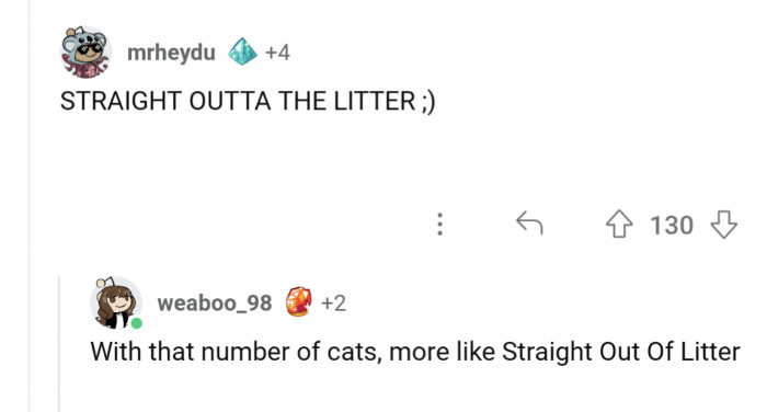 4. Straight Out Of Litter