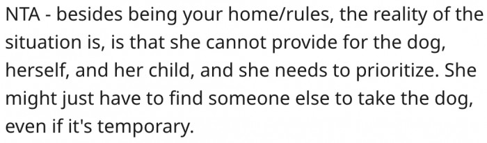 4. Her sister isn't in the best position to own a dog.